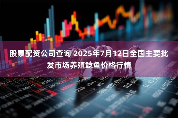 股票配资公司查询 2025年7月12日全国主要批发市场养殖鲶鱼价格行情