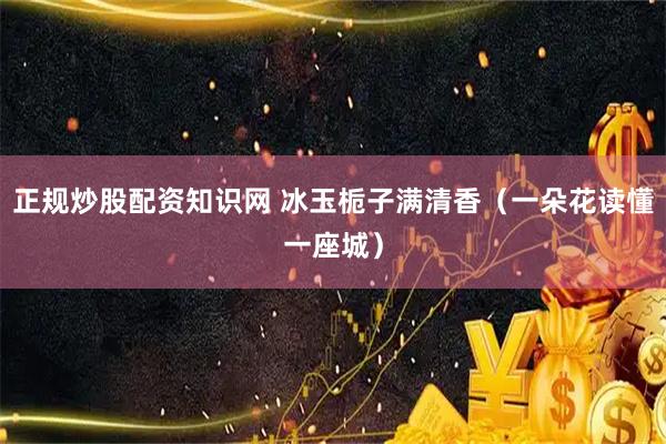 正规炒股配资知识网 冰玉栀子满清香（一朵花读懂一座城）